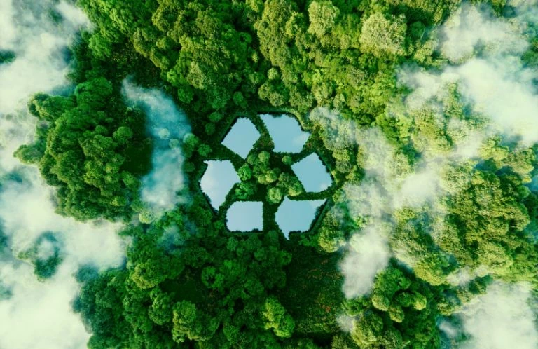 Ikona recyklingu w lesie